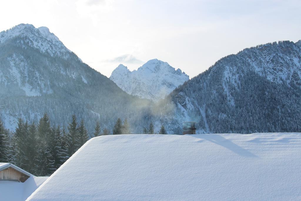 Alpenmotel Saeuling Pinswang Dış mekan fotoğraf