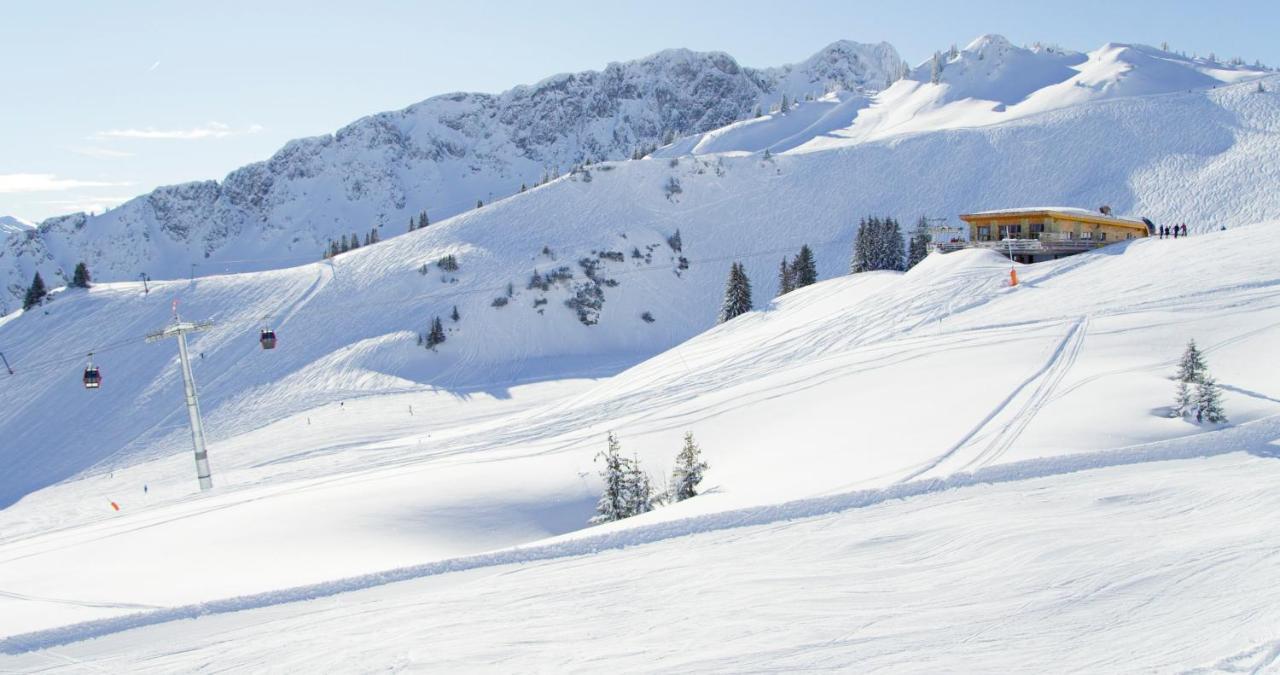 Alpenmotel Saeuling Pinswang Dış mekan fotoğraf