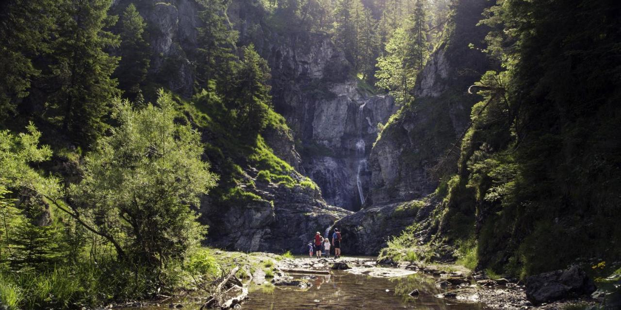 Alpenmotel Saeuling Pinswang Dış mekan fotoğraf